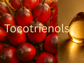 Tocotrienols: Advanced Vitamin E for Next Generation Skincare Formulations