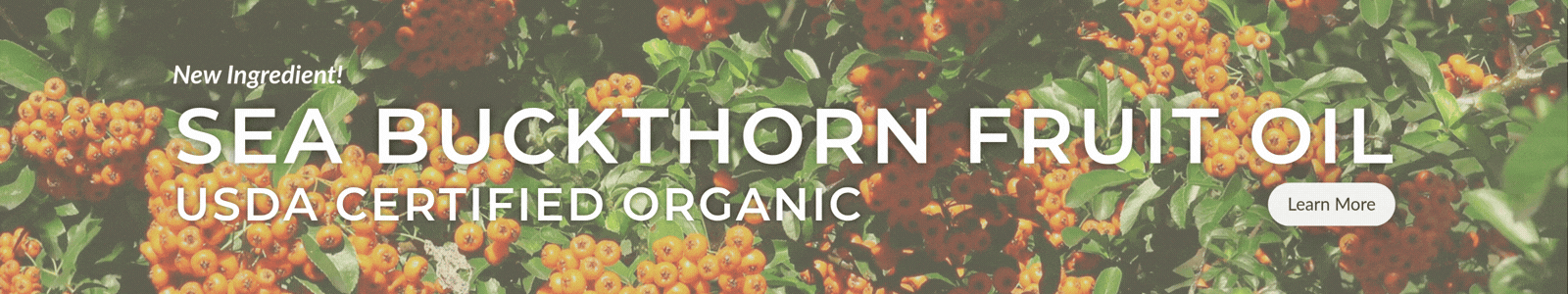 Learn More: Sea Buckthorn Fruit Oil, USDA Certified Organic