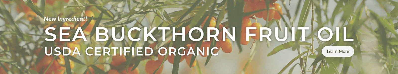 Learn More: Sea Buckthorn Fruit Oil, USDA Certified Organic