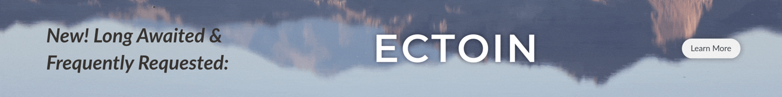 It's Finally Here! Ectoin