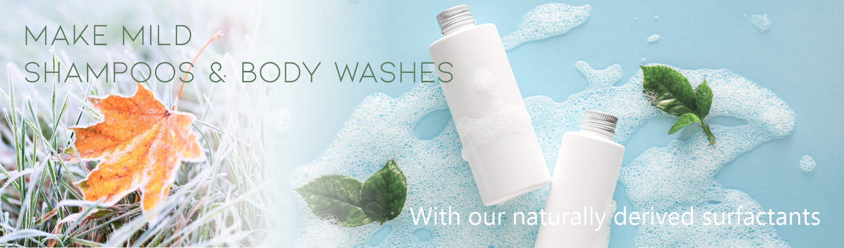 Natural Surfactants