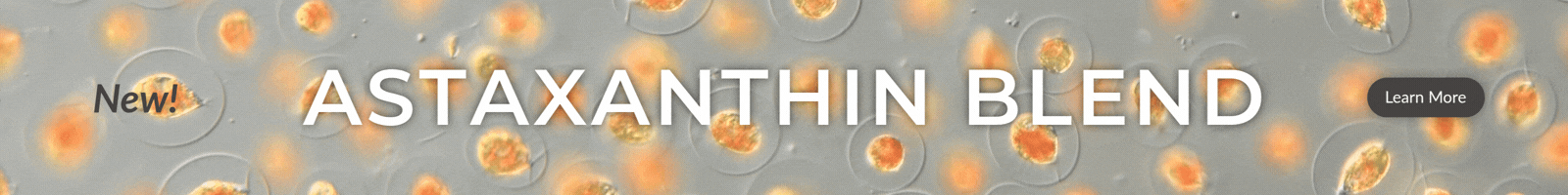 Learn More: Astaxanthin Blend