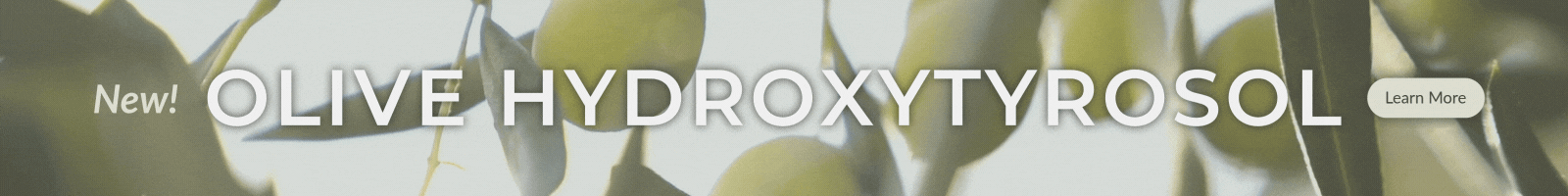 It's Finally Here! Olive Hydroxytyrosol