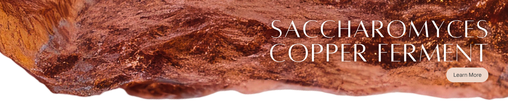 New Product: Saccharomyces Copper Ferment