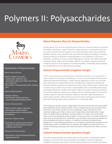 Whitepaper Polysaccharides