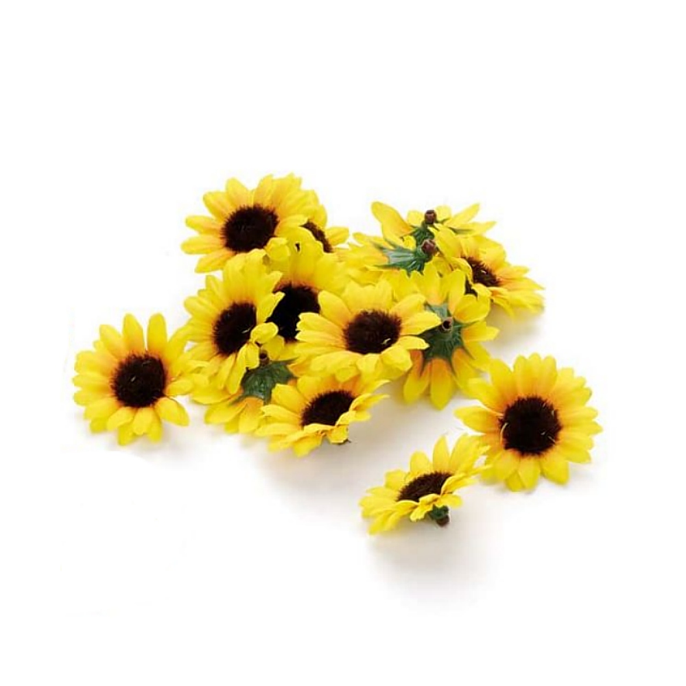 Sunflower Petal Extract image number null