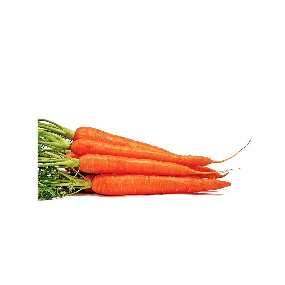 Carrot Oil & Beta-Carotene image number null