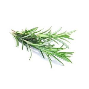 Rosemary Leaf Extract, USDA Certified Organic image number null