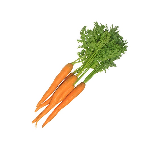 Carrot Cells image number null
