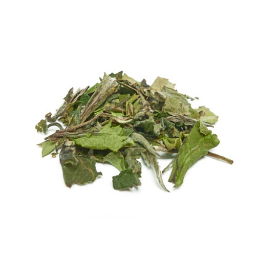 White Tea Extract 24 MakingCosmetics