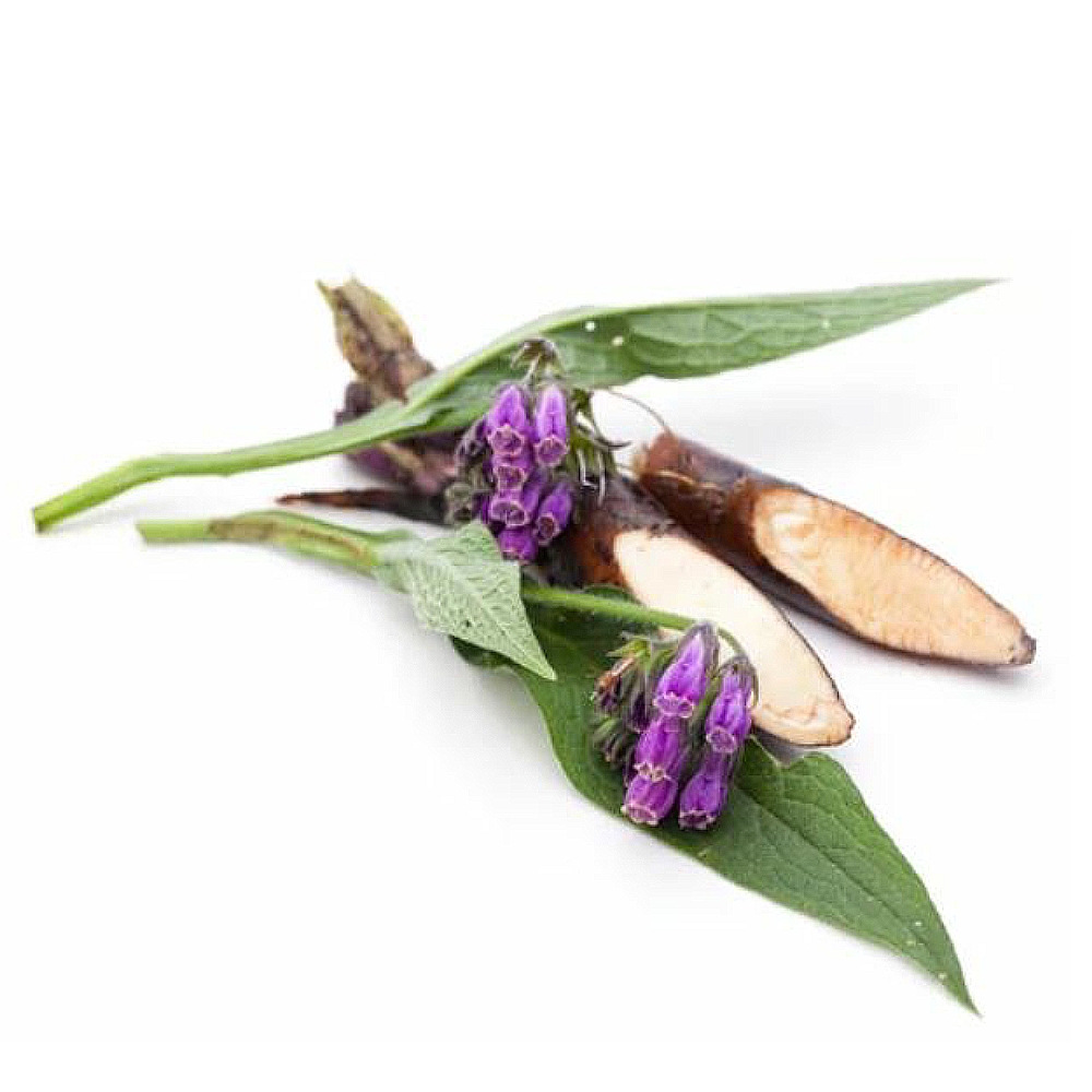 Comfrey Root Extract image number null